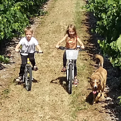 Une histoire de famille | Cognacs et Pineaux des Charentes DROUET